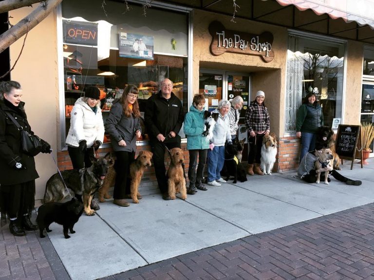 IMG_0387 Cranbrook and District Kennel Club